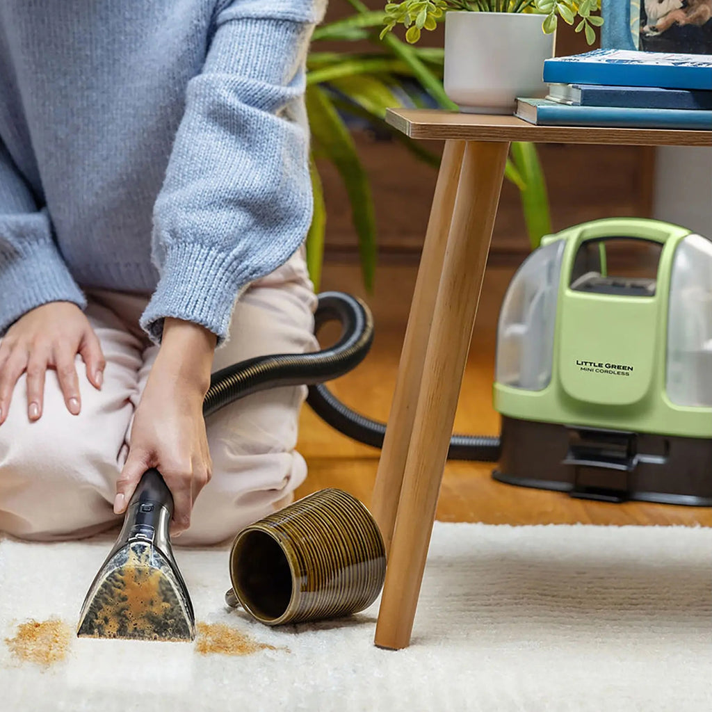 Mini Cordless Portable Carpet Cleaner 2026